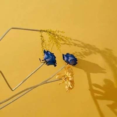 澳门正版资料大全app下载